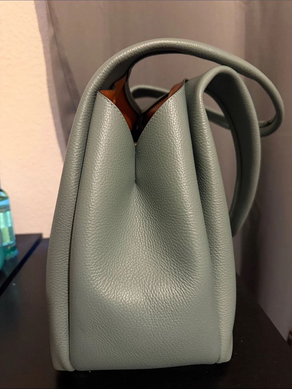 Coach Large Lana Bag in Sage